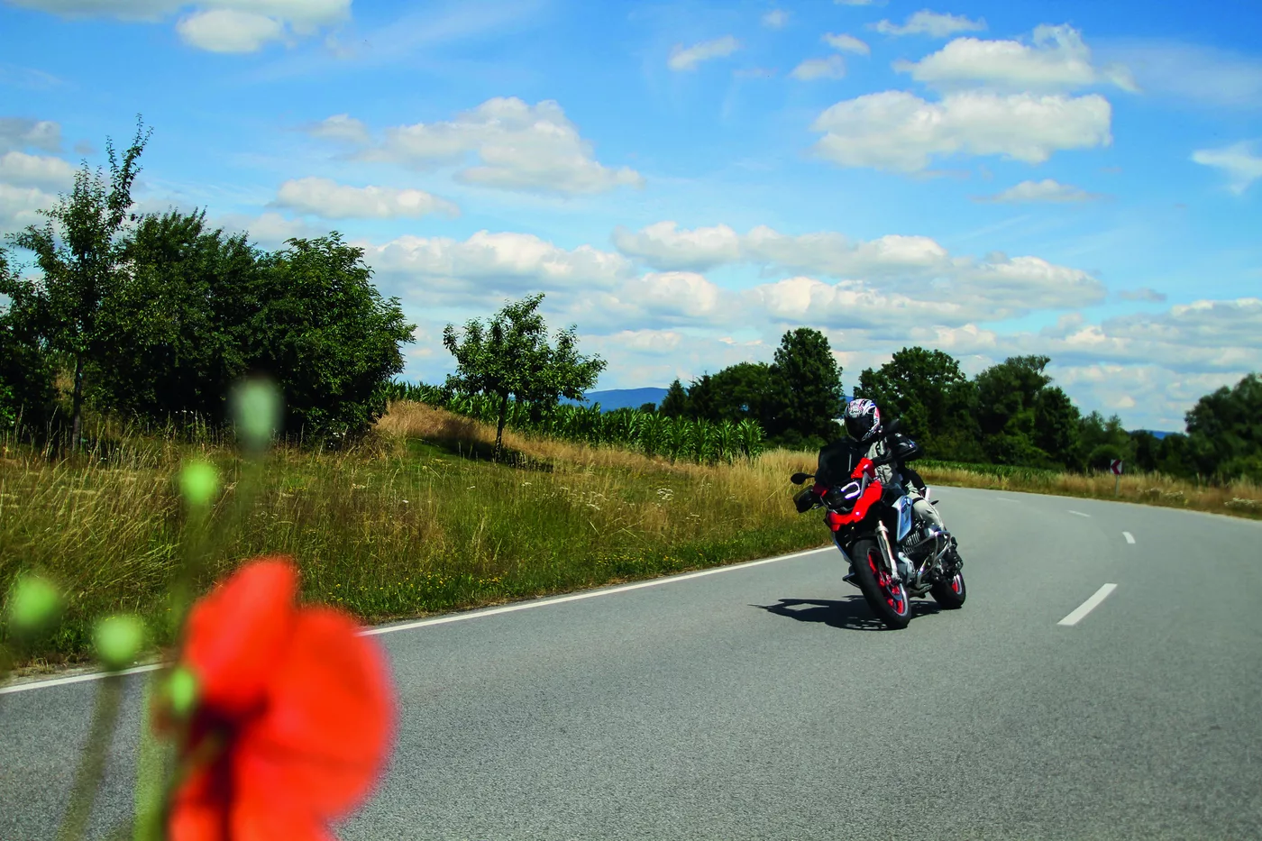 Motorrad auf einer Landstraße, im Vordergrund eine rote Mohnblüte