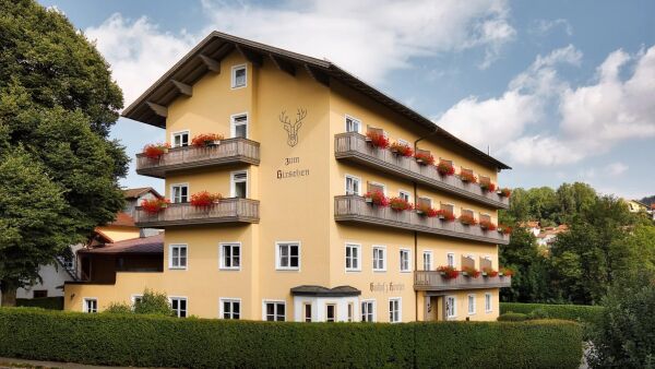 Hotel zum Hirschen, Lam