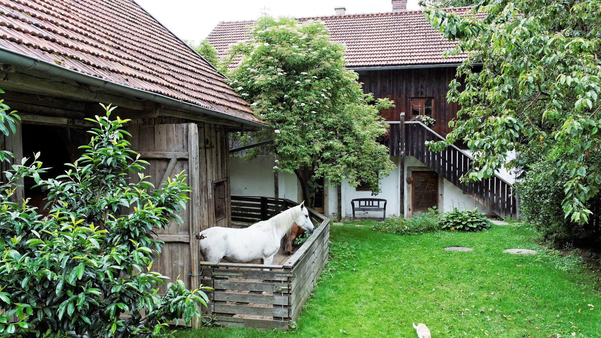 Ferienhaus Geiger, Tiefenbach